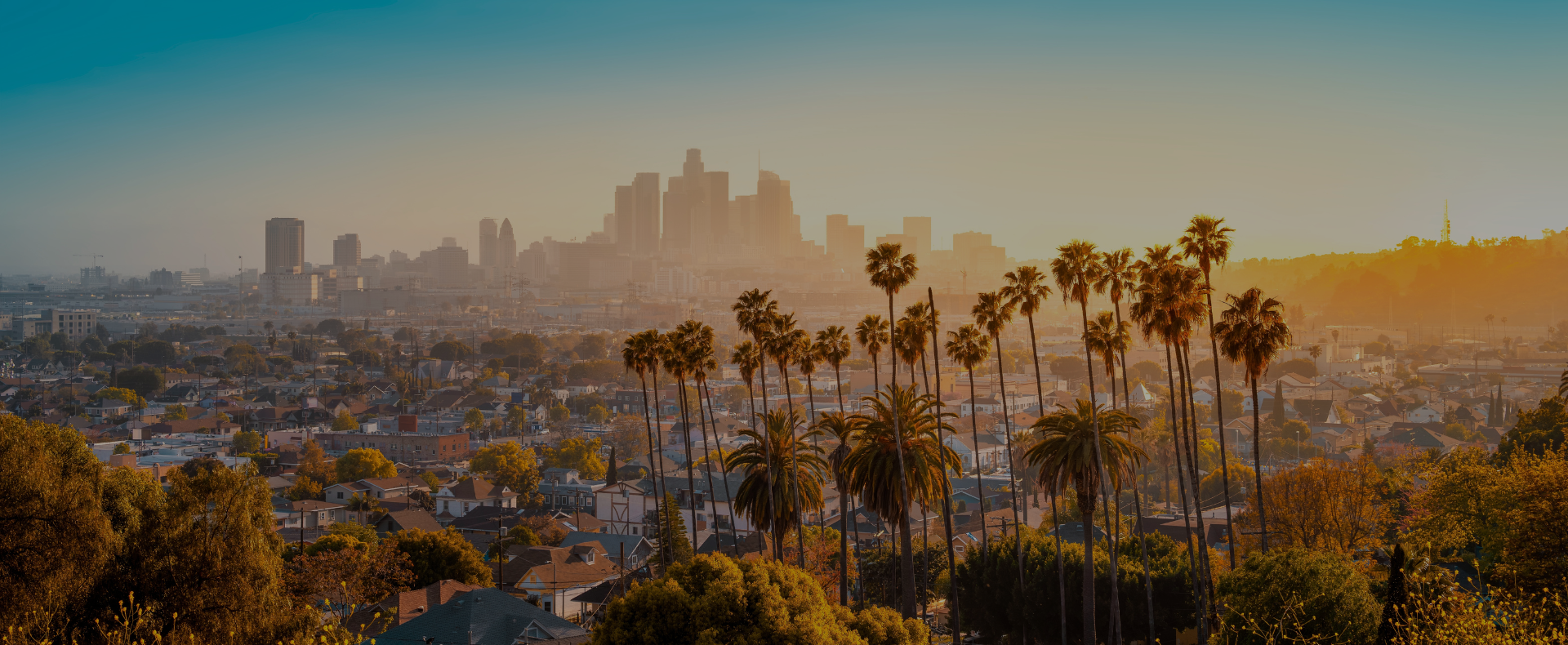 Los Angeles landscape